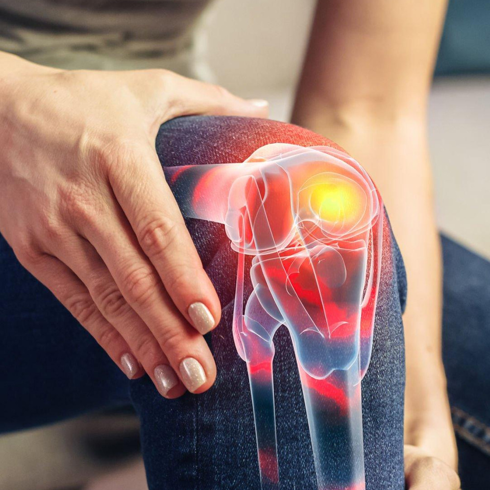 Joint Wellness Support