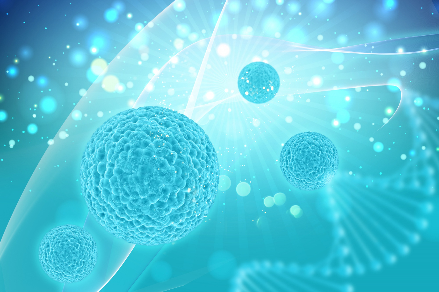 干细胞治疗 (Stem Cell)